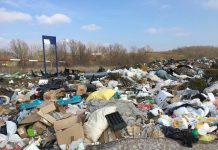 Prosečna porodica u Srbiji baci 80.000 u đubre – Zašto značajan resurs, otpad od hrane završava na deponijama? Stari Obrenovački put nasip divlja deponija