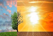 Stručnjaci upozoravaju: Klimatske promene mogle bi zemlju da pretvore u „pećnicu“ Klimatske_promene