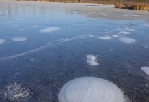 Naučnici zabrinuti: Životna sredina je u opasnosti Untitled