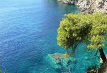 Koliko bačeni otpad može da „živi“ u Jadranskom moru? adriatic-190816_1920