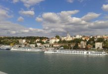 Beograd će se kandidovati za „Zelenu prestonicu Evrope“ belgrade-968778_1920