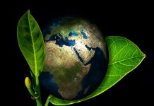 Energetika, Ekologija i Zaštita – koktel koji se ne odbija Zemlja