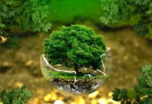 EU protiv globalnog zagrevanja – Kako da spasemo sami sebe eu protiv globalnog zagrevanja