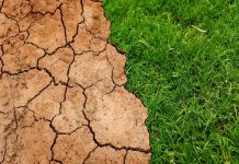 Kako se prilagoditi klimatskim promenama? global-3371528_1920