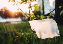 Beograd čuva životnu sredinu: Plastične kese idu u zaborav grass-hayfield-plants-1141835