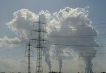 Oprez: Zagađenje vazduha utiče na inteligenciju landscape-201057_1920