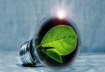 Srbija 30 odsto struje dobija iz obnovljivih izvora light-bulb-2631864_1920