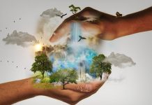 Prirodni resursi se koriste brže nego što mogu da se regenerišu nature-conservation-480985_1920