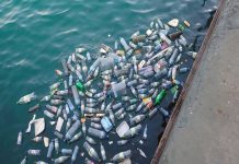 Mehurićima protiv plastičnog otpada u rekama plastic-3151246_1920