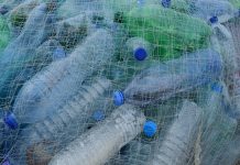 Prvi supermarket bez plastike plastic-bottles-388679_1920