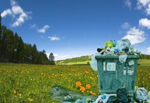 Zašto Švedska uvozi smeće? pollution-3441119_1920