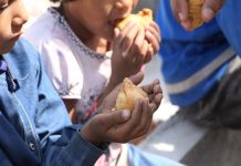 Zbog klimatskih promena sve više gladnih u svetu social-work-2356026_1920