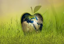 Mali rečnik ekoloških pojmova sustainability-3295824_1920