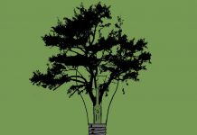 Do 5 miliona evra firmama koje se bave čistim tehnologijama tree-2787760_1920