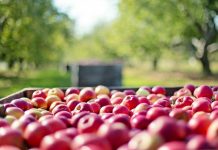 SVIMA NA KORIST – PRODAJA S KUĆNOG PRAGA prodaja s kucnog praga