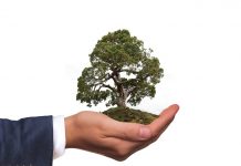 Vlada planira emitovanje zelenih obveznica Ekologija (2)