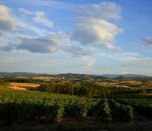 ČUDO U SELU GAREVINI KOD ALEKSANDROVCA Aleksandrovac