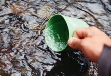 FLAŠIRANJE I PRIVATIZACIJA DO POSLEDNJE KAPI? pexels-photo-66090