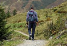 Grad Sombor učesnik regionalnog projekta za razvoj zelenog turizma Turizam wanderer-455338_1920-min