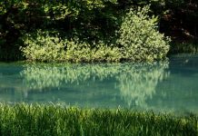 Kako su građani odbranili Grzu? NAŠE MESTO - Jezero na GRZi, slika FB stranica TO Paraćin 2
