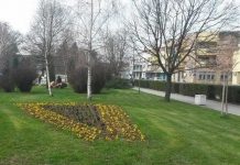 JKP Paraćin na novoj adresi jkp_paracin