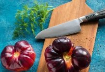 Nebojša Stamenović: Zdrava hrana – turistički brend Niša nesa travka