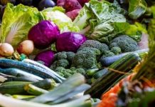 Projekat EU: 60 000 evra za pokretanje proizvodnje organske hrane organska hrana