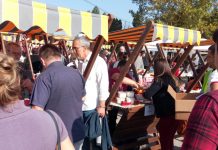 Vurdijada – spoj lepog i korisnog vurdijada