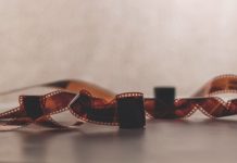 Festival „7 veličanstvenih“ od 21. do 24. decembra u Beogradu Ekološka svest na filmu
