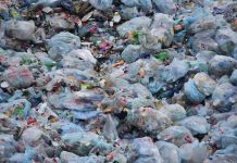 Budućnost bez plastičnog otpada Razgradnja plastičnih kesa