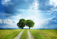 Uskoro elektronske prijave za eko taksu elektronska taksa za zaštitu životne sredine