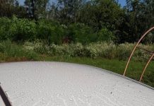 Smederevo prekriveno crnim prahom Ekološki problemi