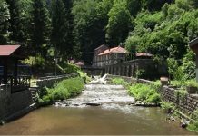Kanjon reke Vučjanke prirodni biser leskovačkog kraja Kanjoj reke