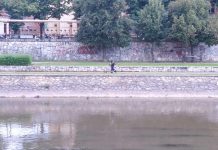 Javni radovi za „Čist i zelen Niš“ Javni radovi u Nišu