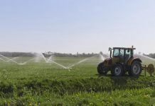 U pripremi projekti koje će predstavljati drugu fazu razvoja navodnjavanja u Srbiji Navodnjavanje