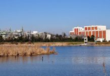 Leskovac dobija fabriku za prečišćavanje otpadnih voda Prečišćavanja otpadnih voda