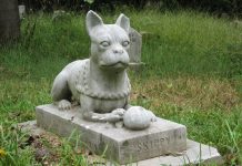 Beograd dobija groblje kućnih ljubimaca Sahranjivanje životinja