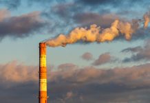 Unesko Katedra za bioetiku apeluje na predsednika zbog zagađenja u Smederevu