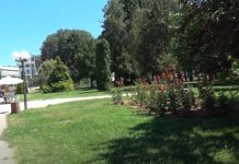U Leskovcu nastavljena akcija uklanjanja divljih deponija i rastinja Leskovac park