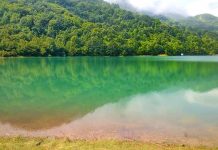 Ronioci izvukli 300 kilograma otpada iz Zavojskog jezera