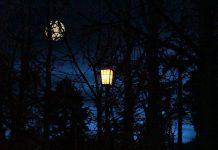 Objavljen poziv za sufinansiranje energetske efikasnosti i modernizaciju javnog osvetljenja u gradovima i opštinama Gradska rasveta