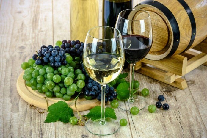 Degustacija vina