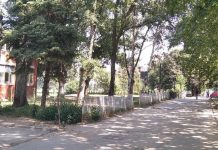 Potkresano drveće u dvorištu OŠ „Sveti Sava“ uređenje školskog dvorišta