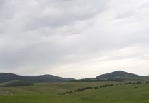 Zlatibor sa pola miliona noćenja najposećenija planina u Srbiji Zlatibor
