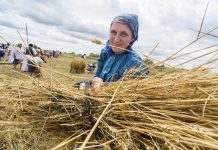 Turistička organizacija Vojvodine: Salaši i vina kao brend