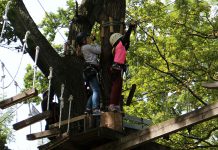 Grad Užice sređuje sportske hale i igrališta