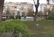 Svakodnevni radovi u leskovačkim parkovima