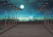 Kroz javno privatno partnerstvo do kvalitetnije i ekonomičnije ulične rasvete u Pirotu