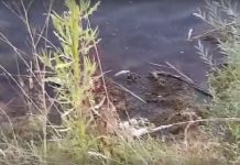 Šta nam truje reke i gde je najlošiji kvalitet vode