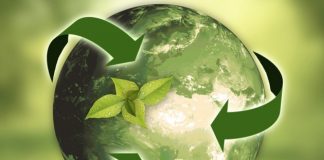 Cirkularna ekonomija u Srbiji – pet kompanija potpisalo memorandume o saradnji ilustracija ekologije